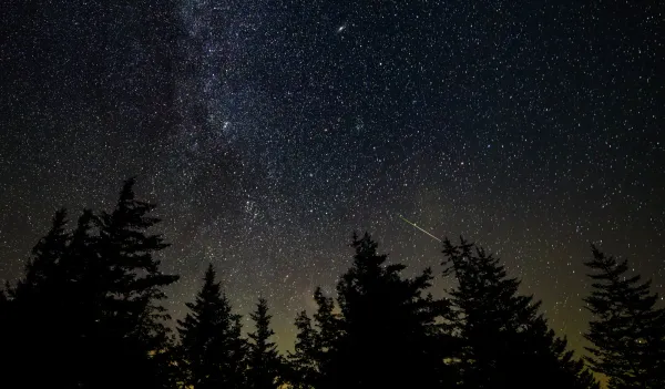 Perseid Peak Arrives Over Camden County Tonight Under a New Moon